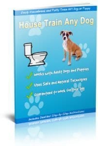 How to Potty Train a Dog Living in an Apartment