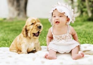 My Dog Becomes Stressed When Our Baby Cries