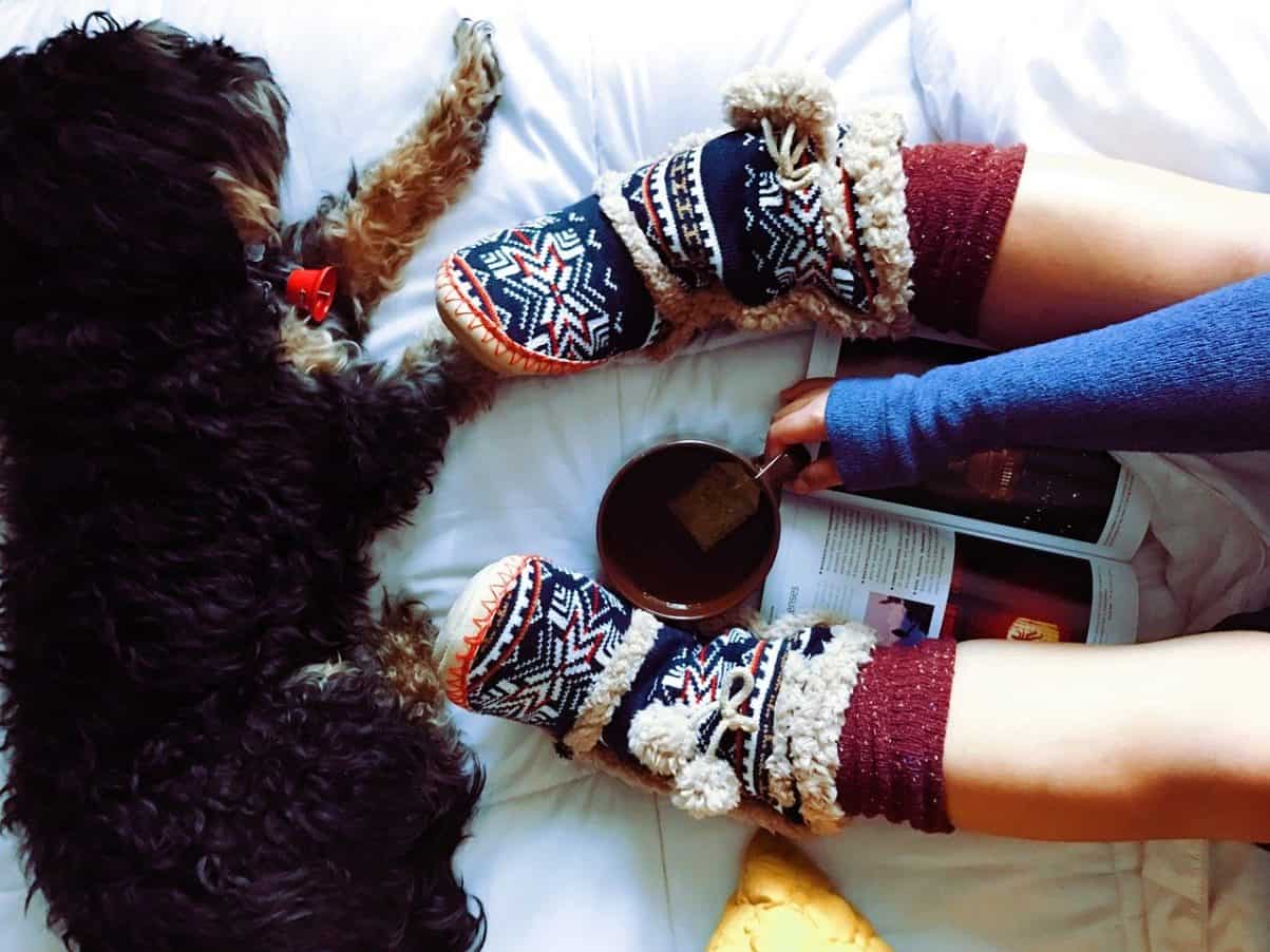 How to Stop a Dog Eating Socks — A Complete Guide