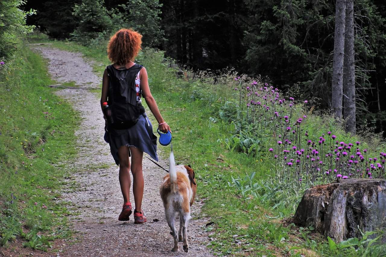 Dog Barking and Pulling on Leash at Other Dogs