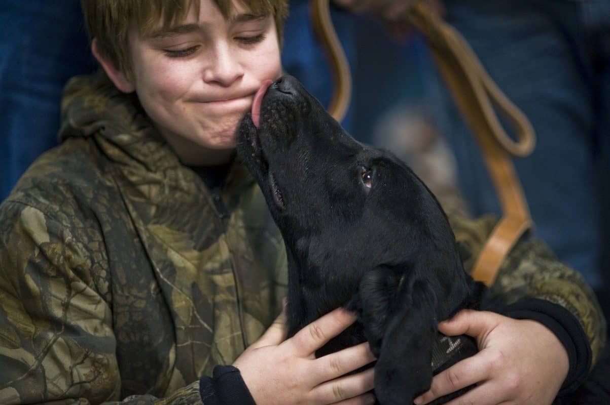 stop dog jumping on people