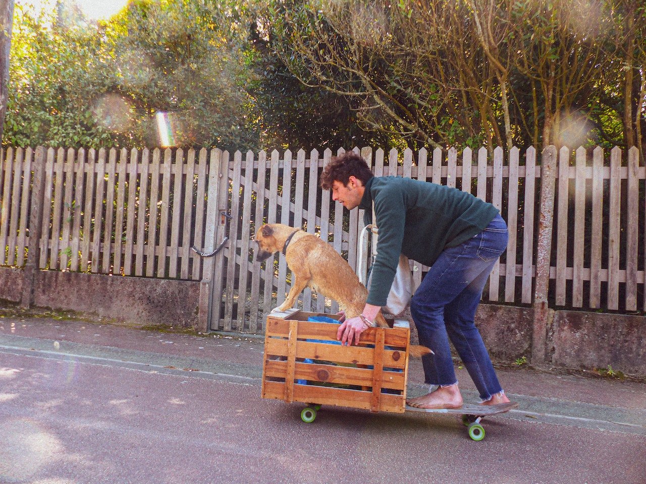 Benefits of Crate Training Why Do Dogs Need Crates?