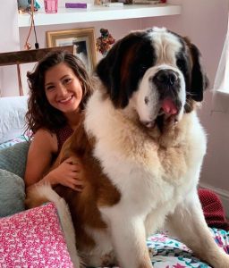 Large Dog Breeds for Apartment