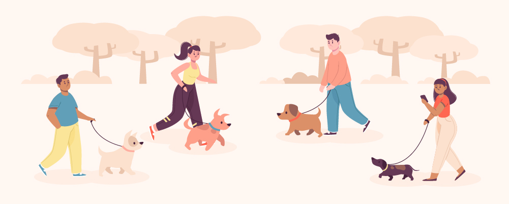 10.Socialiser votre chien