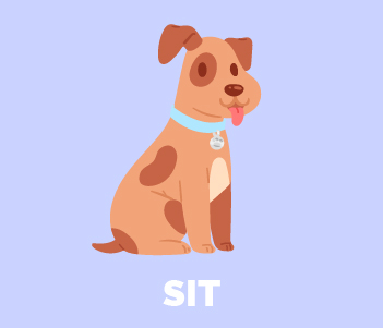 7.Sit