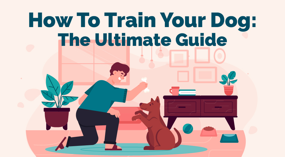 How To Train Your Dog The Ultimate Guide