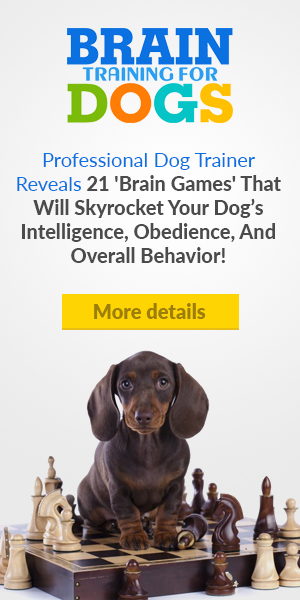 Dog Size Guide - Dog Training Solution