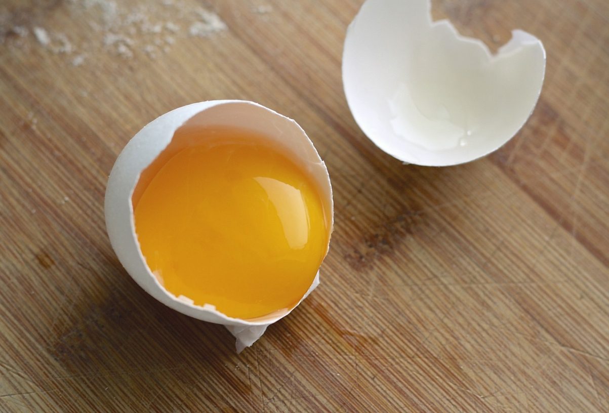 Can Dogs Eat Eggs?